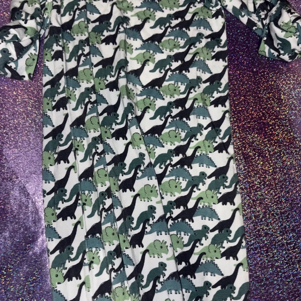 Wildbird Dinosaur Infant gown